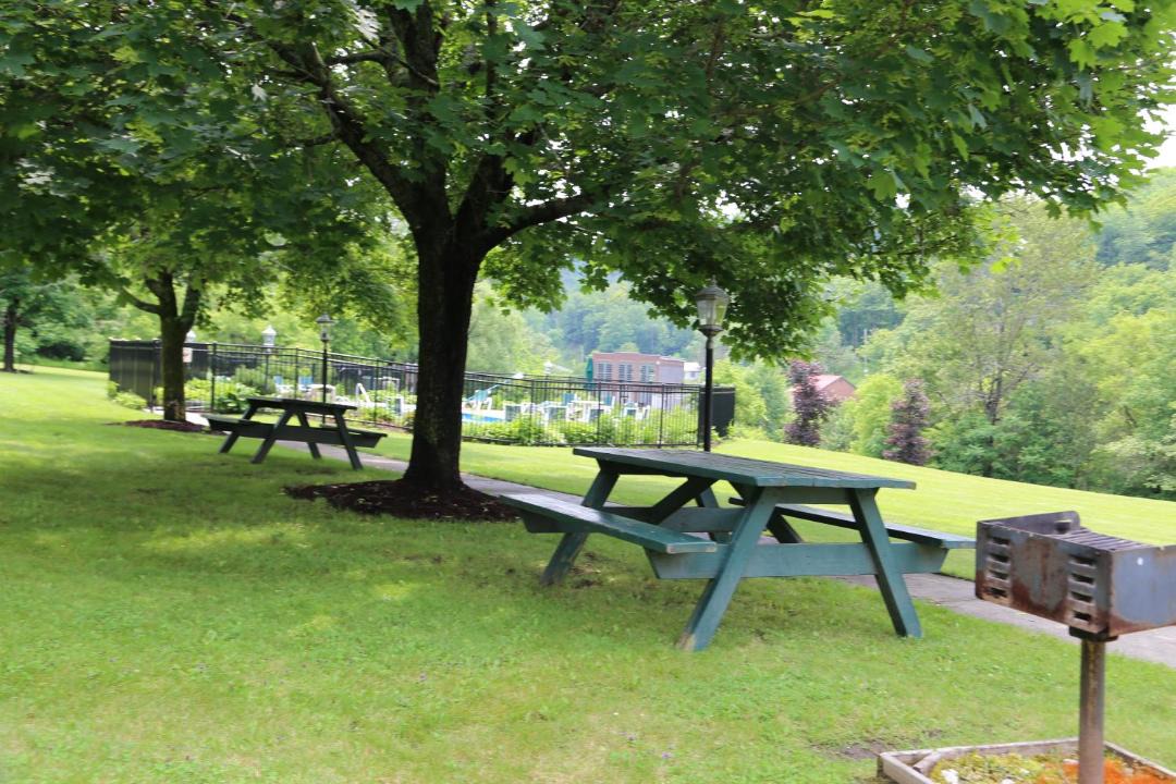 Photo of Others in St. Johnsbury Center