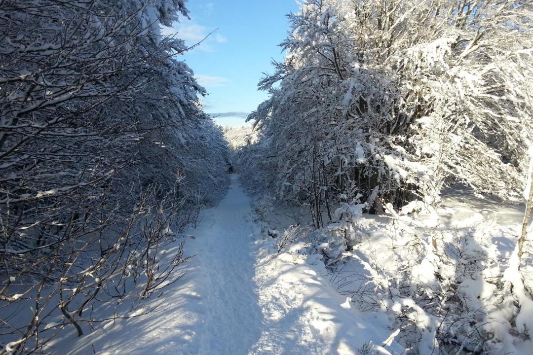 Photo of Others in Xonrupt-Longemer