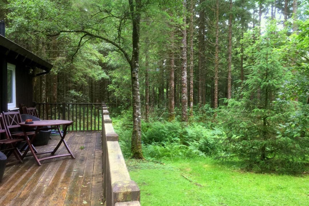 Photo of Others in Dallavich