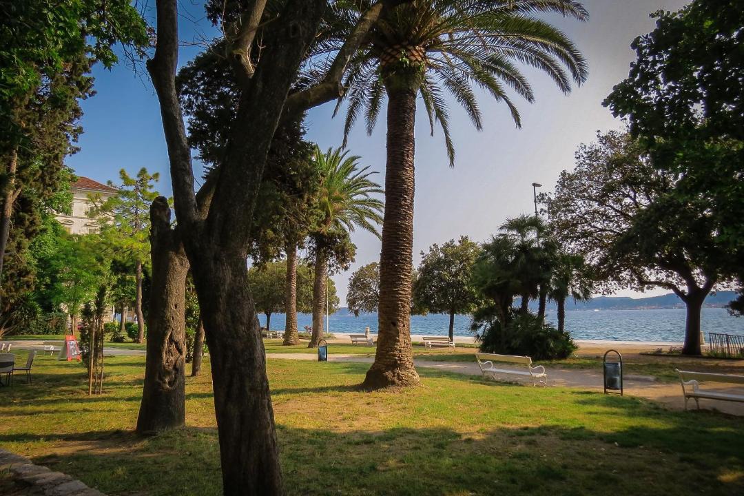Photo of Outdoor in Zadar Old Town