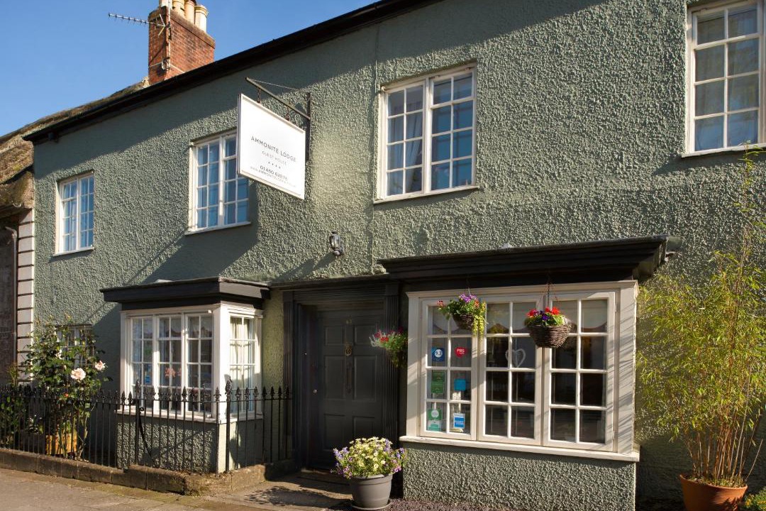 Photo of Buildings in Chard