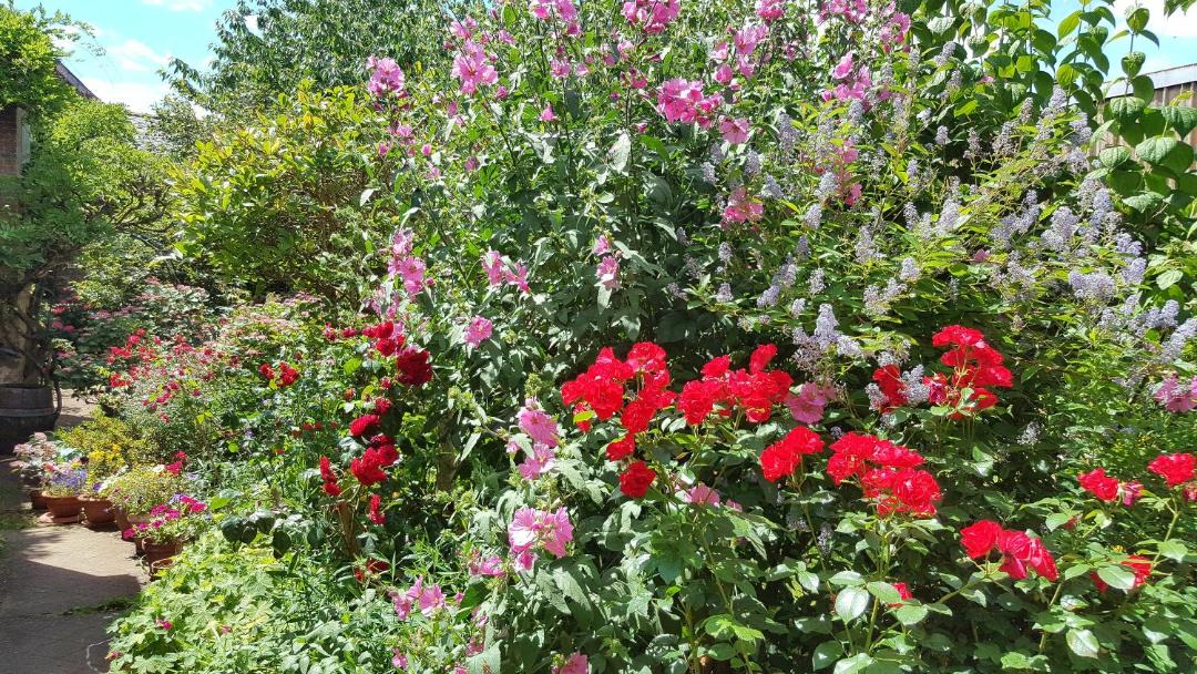 Photo of Others in Chammes