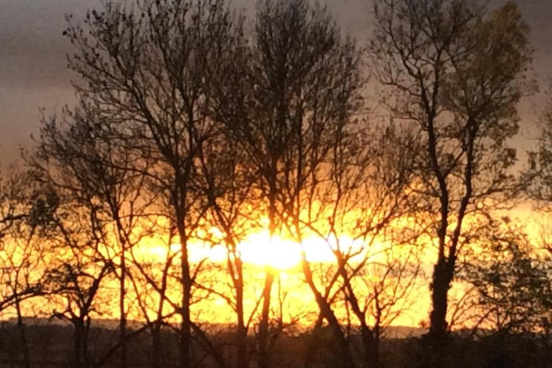 Photo of Outdoor in Breville