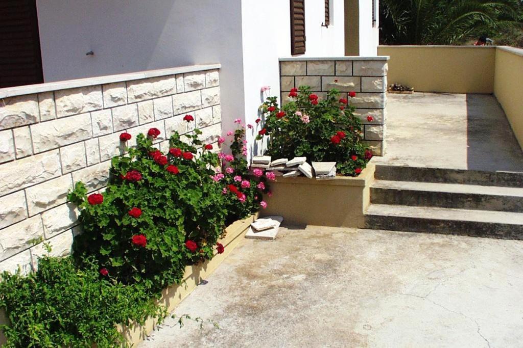 Photo of Others in Island Dugi Otok