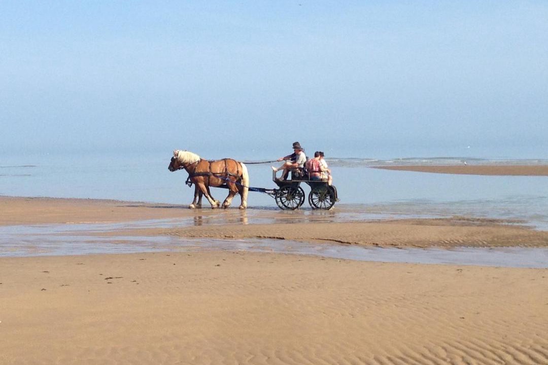 Photo of Others in Saint-Laurent-sur-Mer