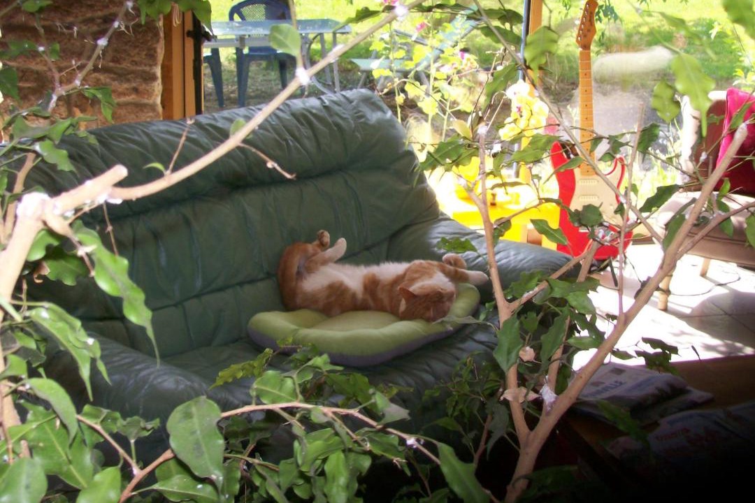 Photo of Others in Noirpalu