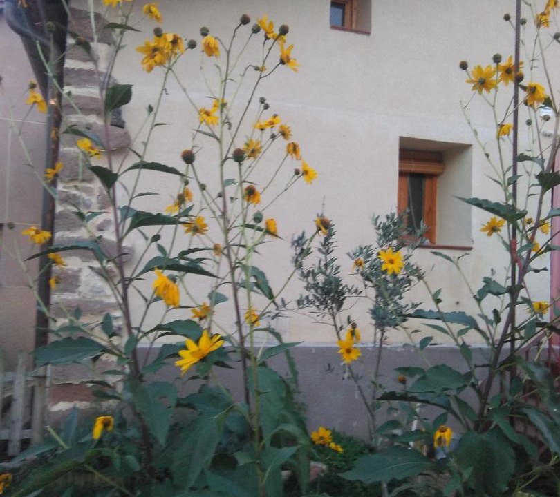 Photo of Others in Berceo