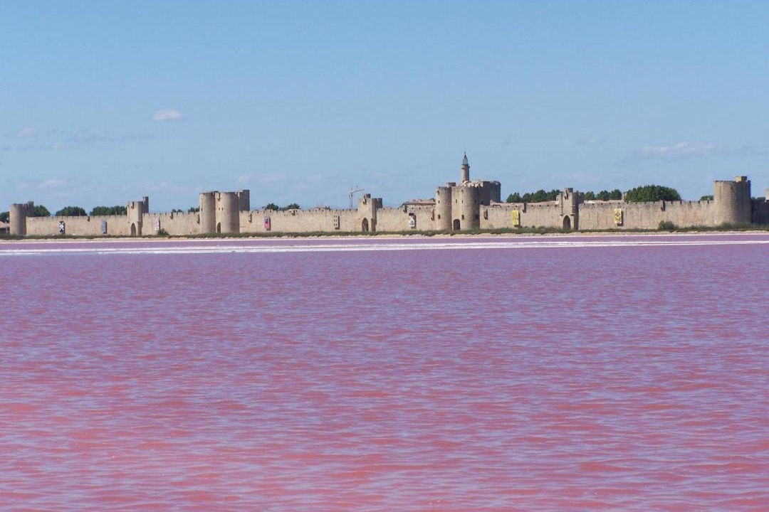 Photo of Others in Aigues-Mortes