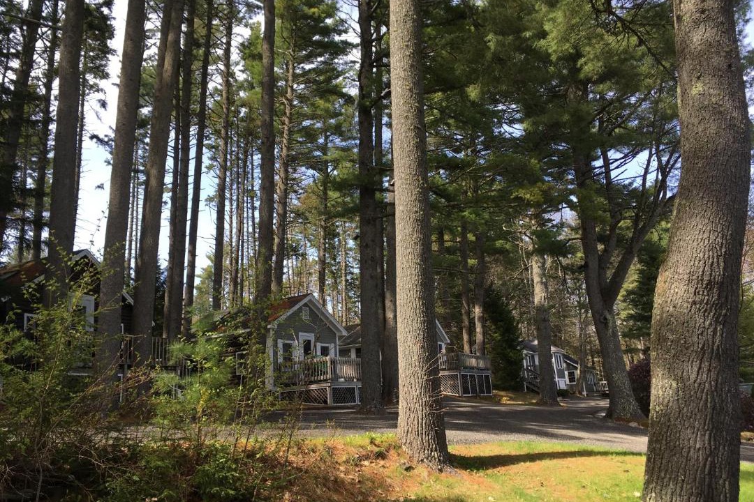 Photo of Others in Lincolnville