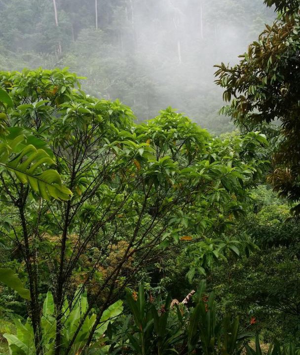 Photo of Others in Seremban