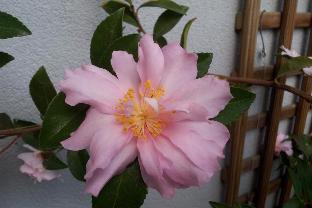 Photo of Others in Queven