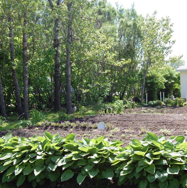 Photo of Others in Matane