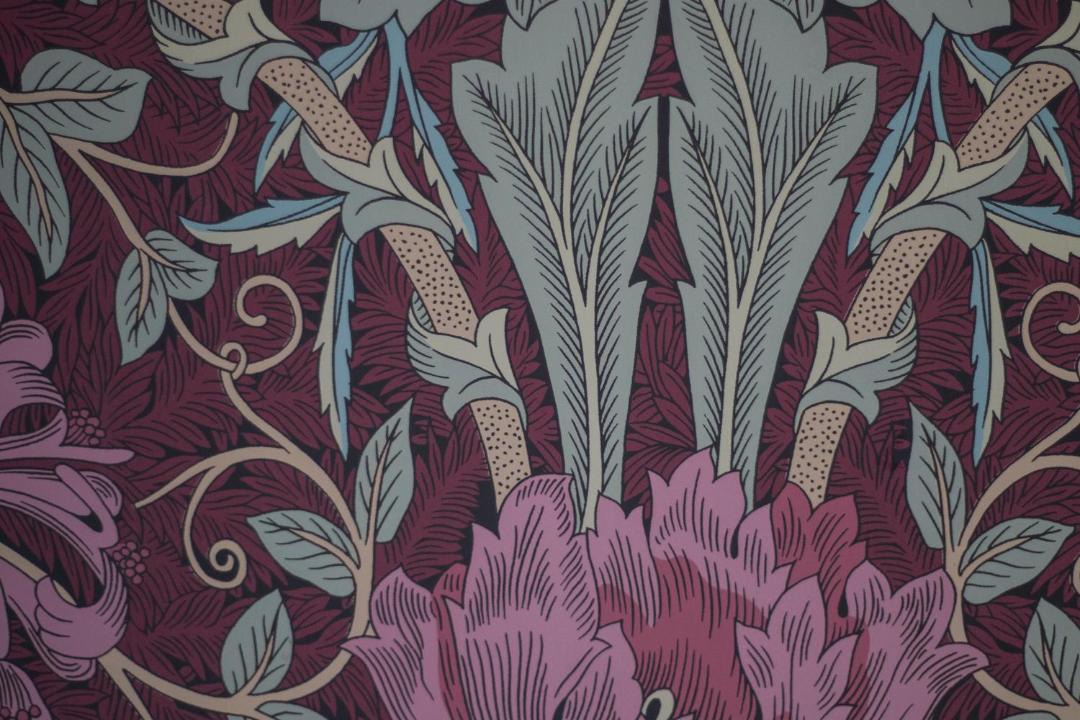 Photo of Others in Craignure