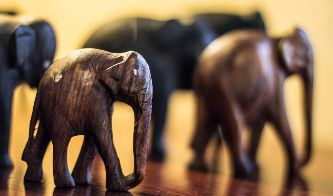 Photo of Others in Rockcliffe