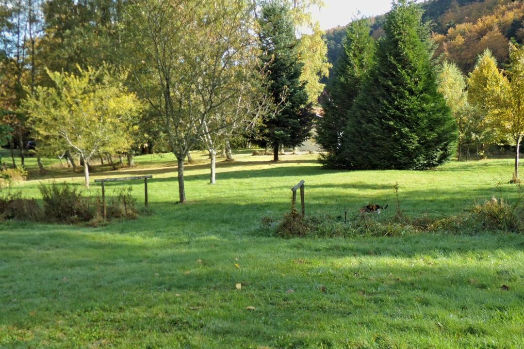 Photo of Others in Murbach