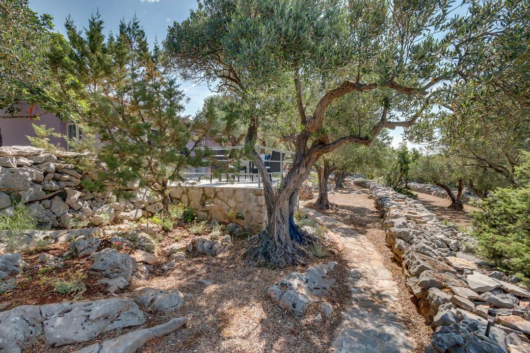 Photo of Others in Veli Losinj