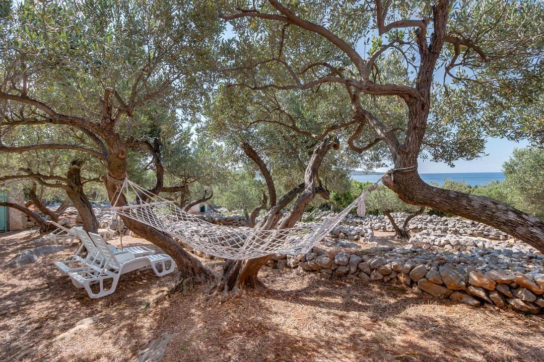 Photo of Others in Veli Losinj
