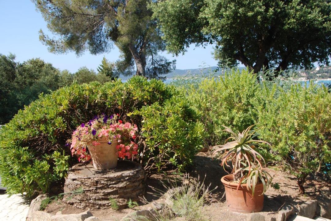 Photo of Others in La Fossette