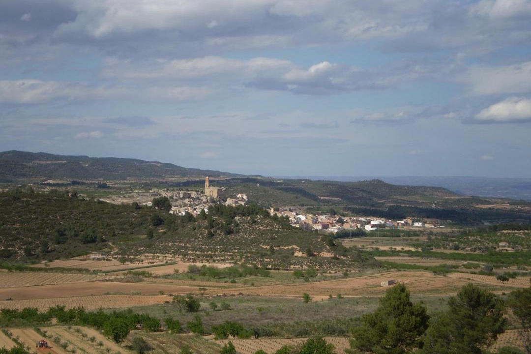 Photo of Others in Corbera d'Ebre