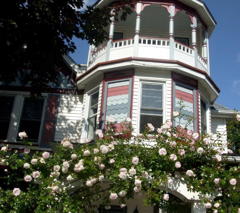 Photo of Others in Boblo Island