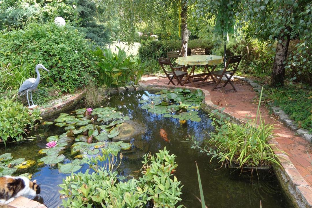 Photo of Others in Vierzon