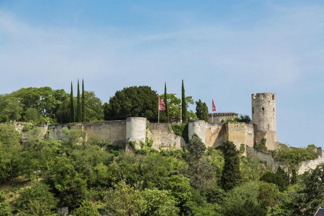 Photo of Others in Chinon