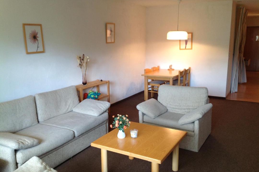 Photo of Livingroom in Disentis