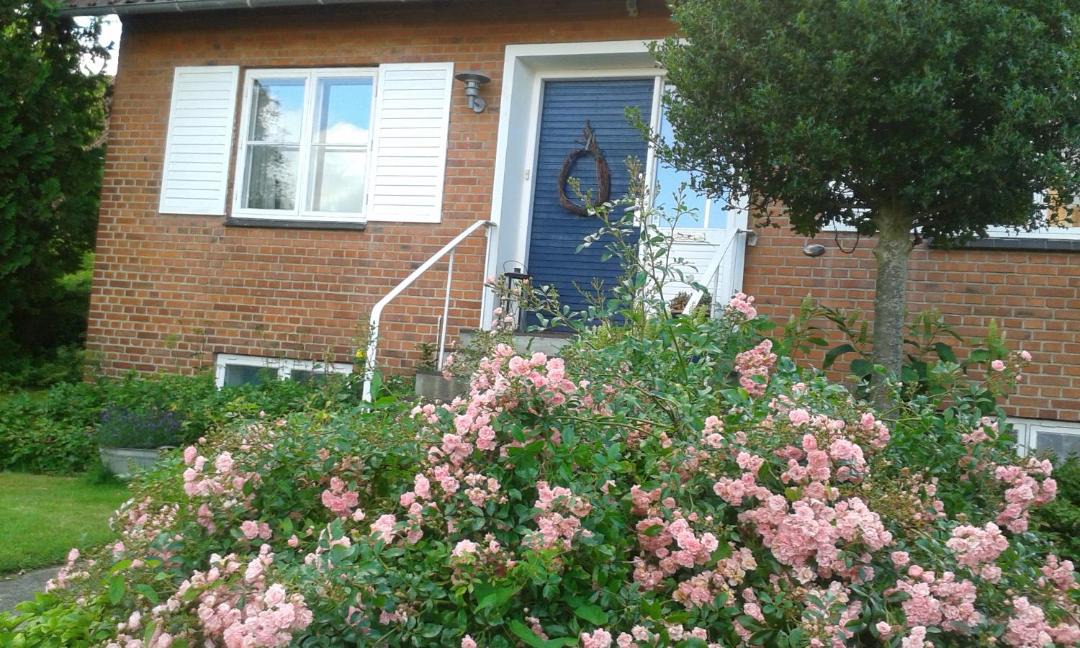 Photo of Others in Skive