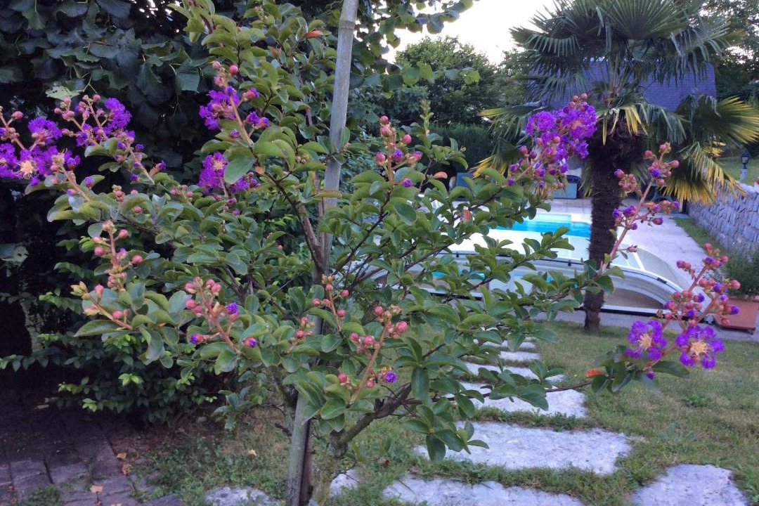 Photo of Others in Viviers-du-Lac