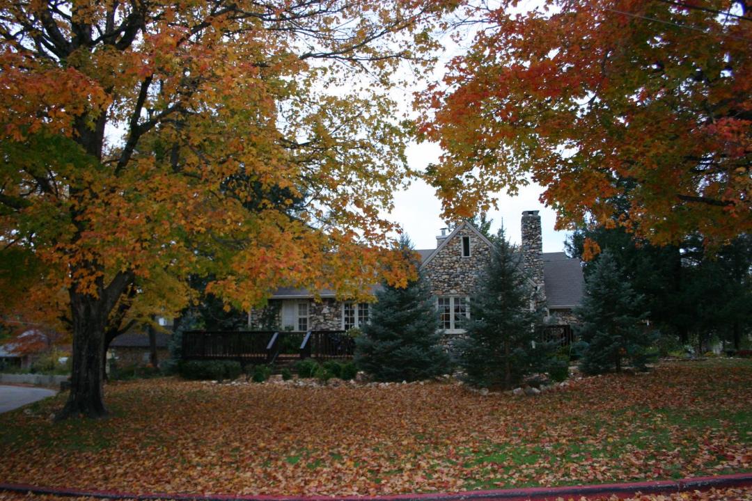 Photo of Others in Eureka Springs Historic District