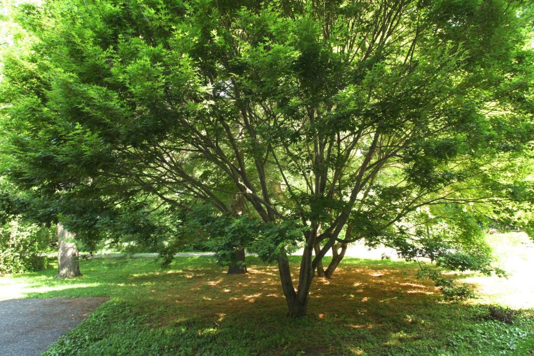 Photo of Others in Stockbridge