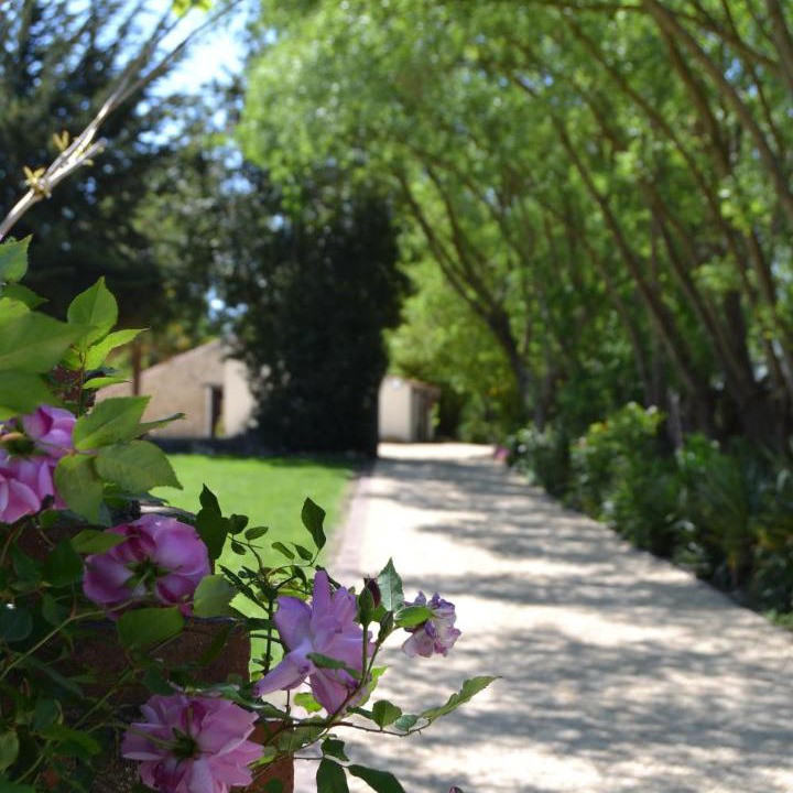 Photo of Others in Le Perrier