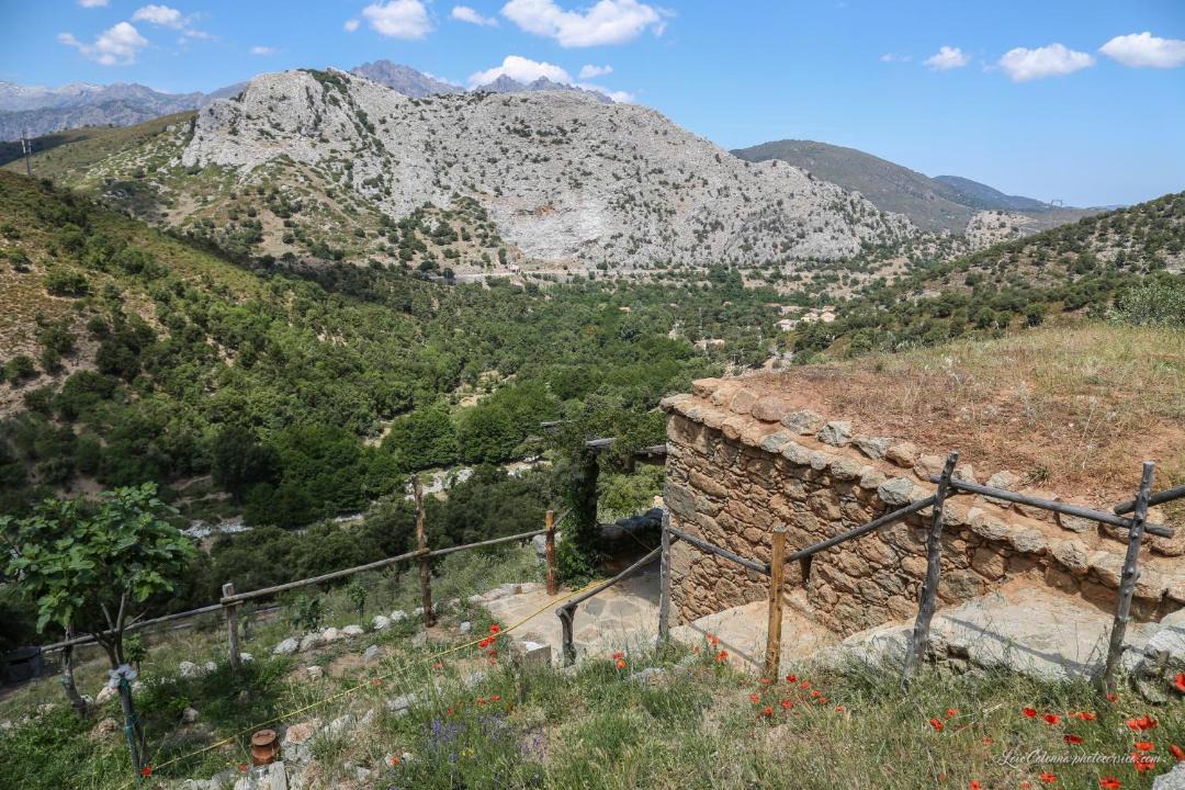 Photo of Others in Omessa