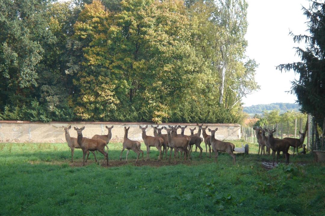 Photo of Others in Commelle-Vernay