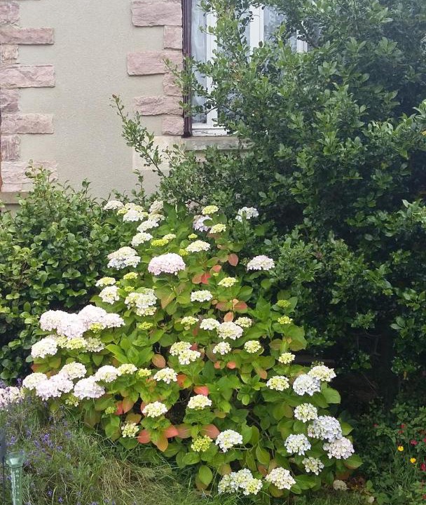 Photo of Others in Pordic