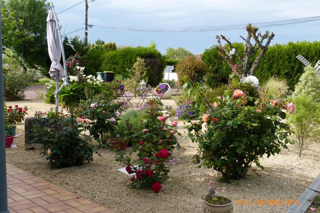 Photo of Others in Cozes