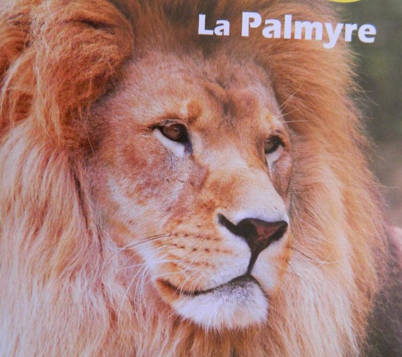 Photo of Others in Cozes