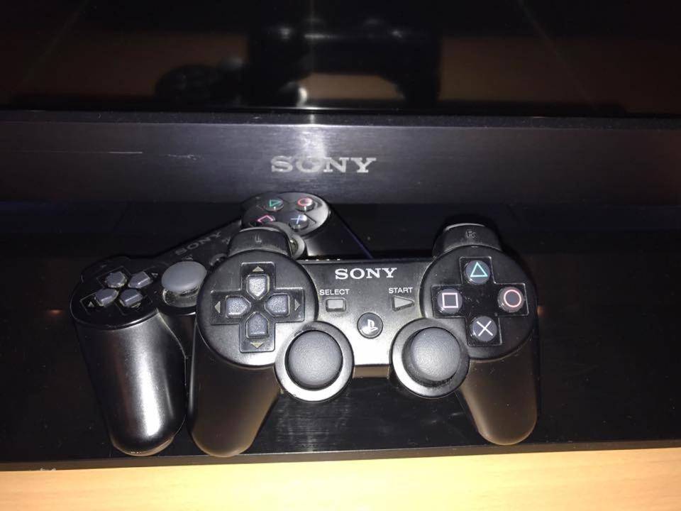 Photo of Others in Port Macquarie