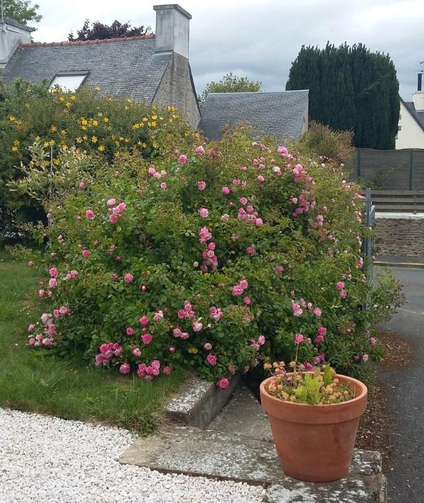 Photo of Others in Pordic