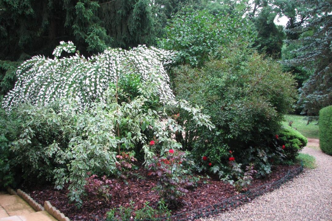 Photo of Others in Saint-Ondras