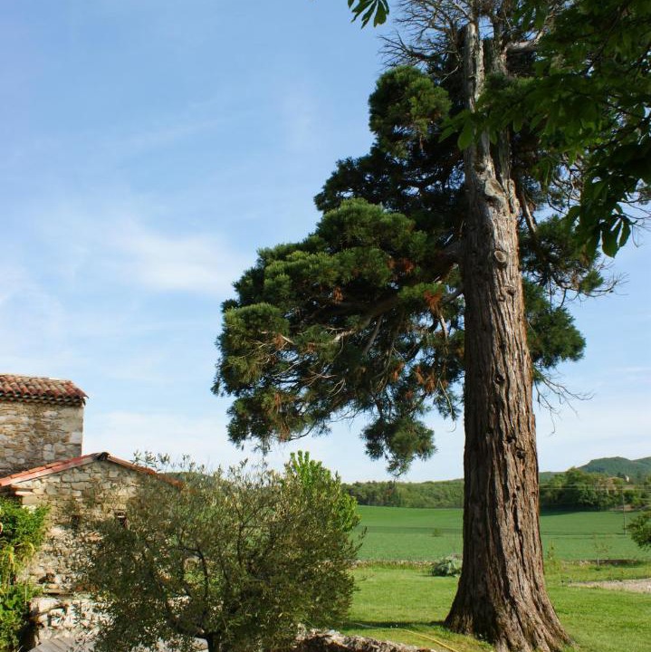 Photo of Others in La Repara-Auriples