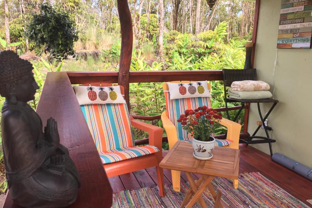 Photo of Others in Fern Forest