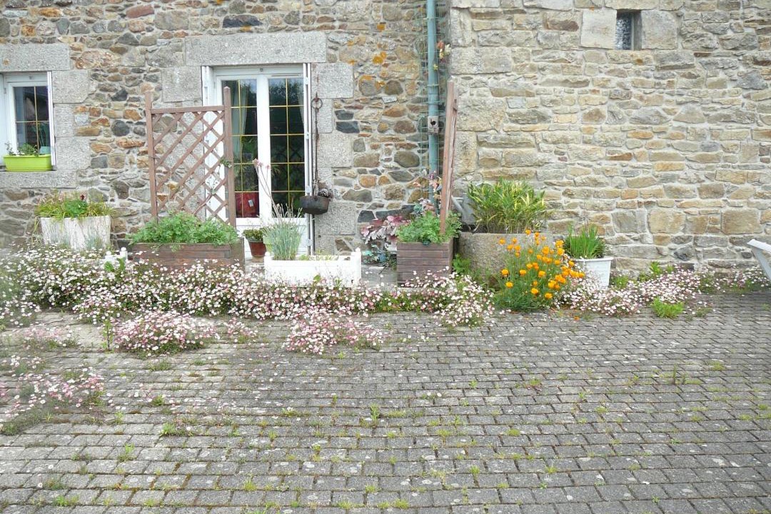 Photo of Others in Plouagat