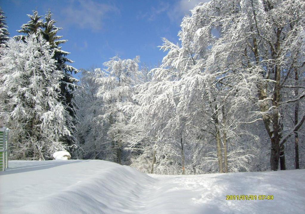 Photo of Others in Les Carroz-d'Araches