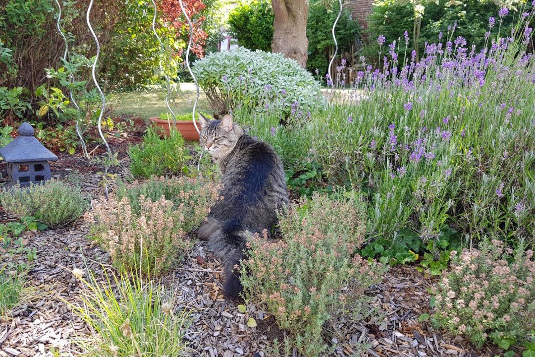 Photo of Others in Achicourt