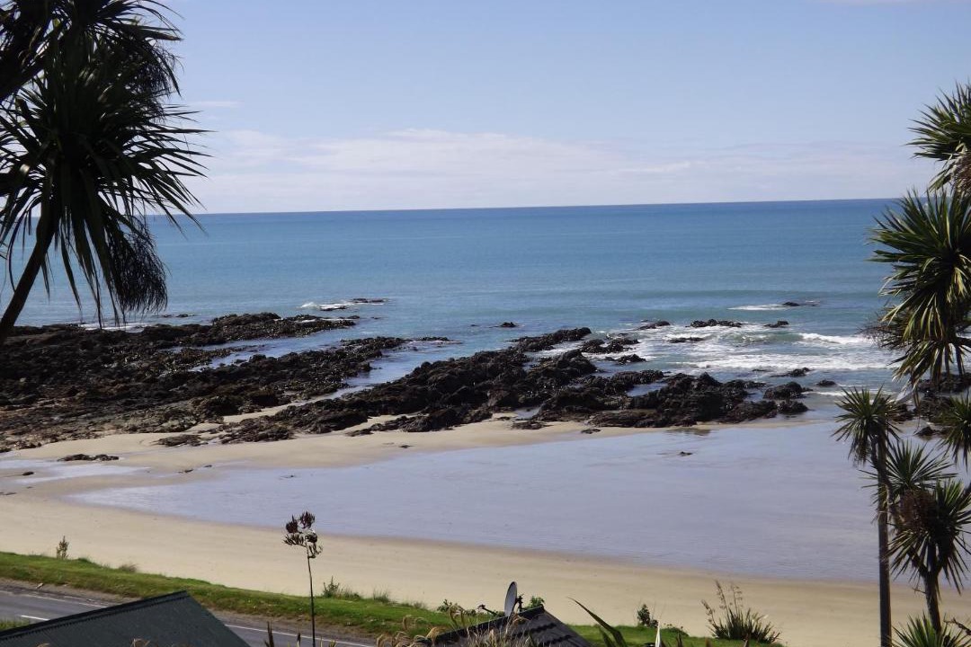 Photo of Others in Kaka Point