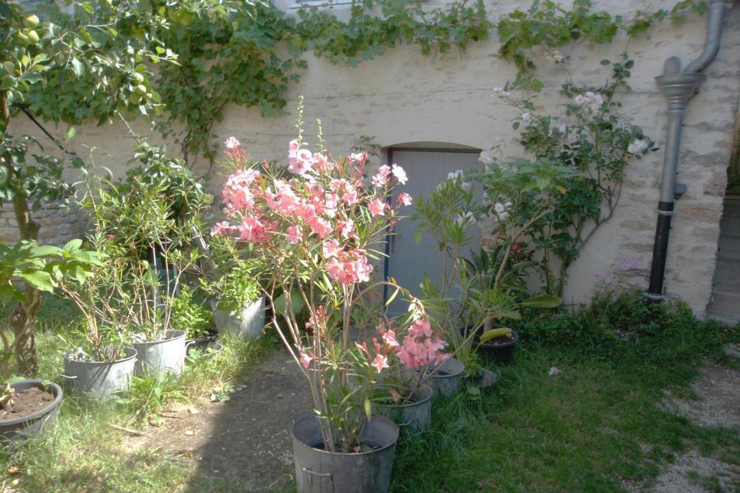 Photo of Others in Santenay