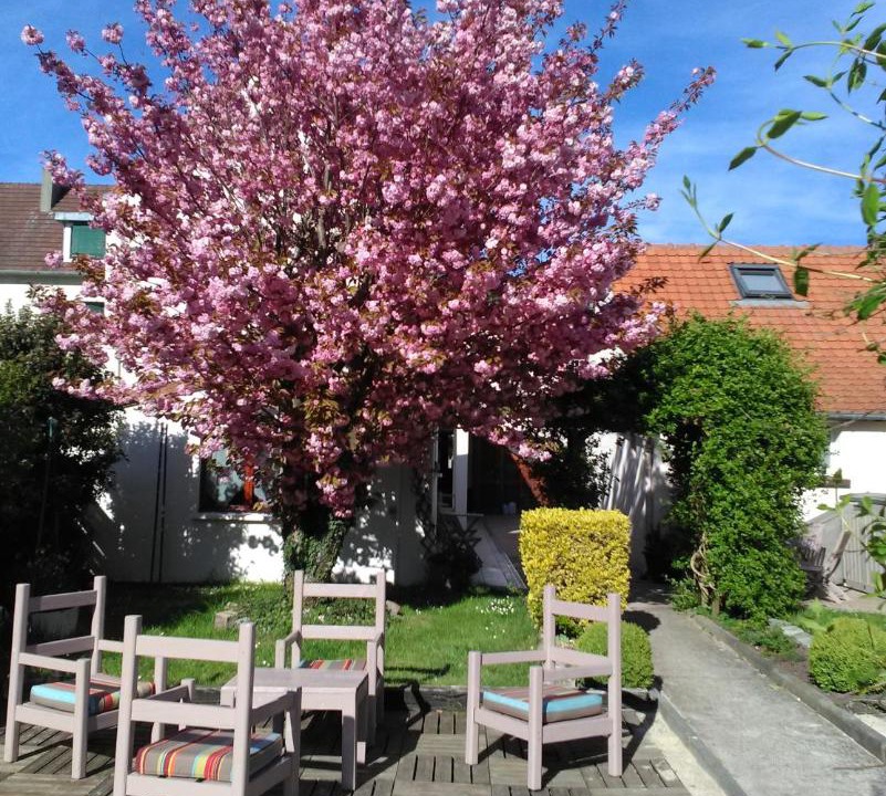 Photo of Others in Martin-Eglise