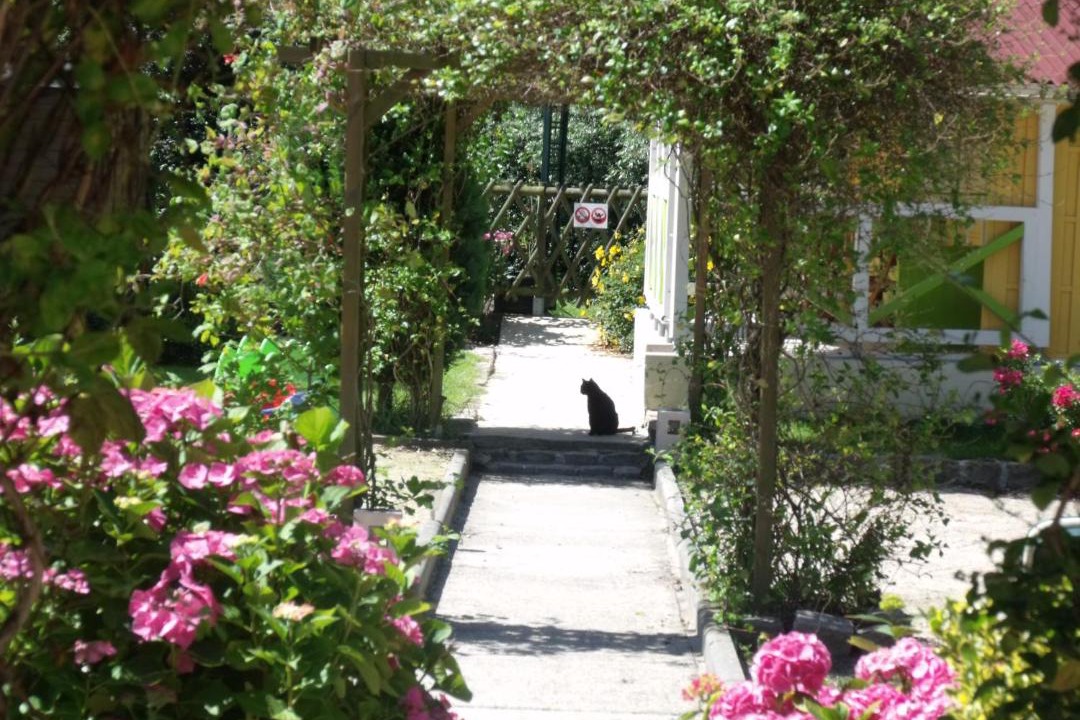 Photo of Others in Martin-Eglise
