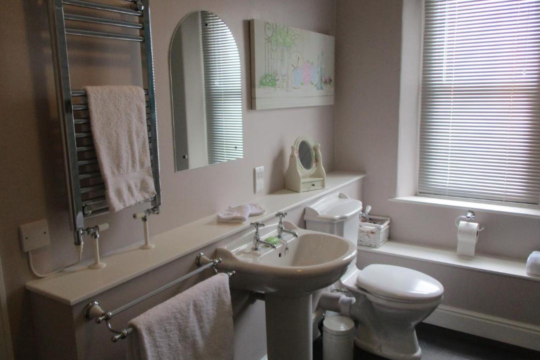 Photo of Others in Glastonbury